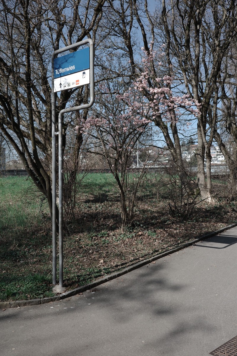 Flowers at Tüffenweis